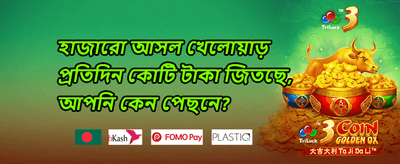 সাপ্তাহিক ভিআইপি ক্যাশব্যাক অফার promotion